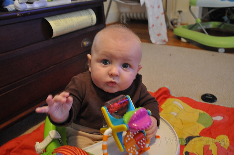 William's Nineteenth Week 37.jpg